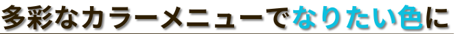 多彩なカラーメニューでなりたい色に